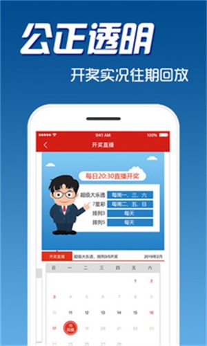 精准一肖100%免费|精选解释解析落实,精准一肖，揭秘预测技巧与解析落实的重要性