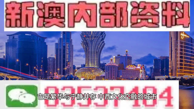新澳门全年资料内部公开|精选解释解析落实,新澳门全年资料内部公开，精选解释解析与落实策略