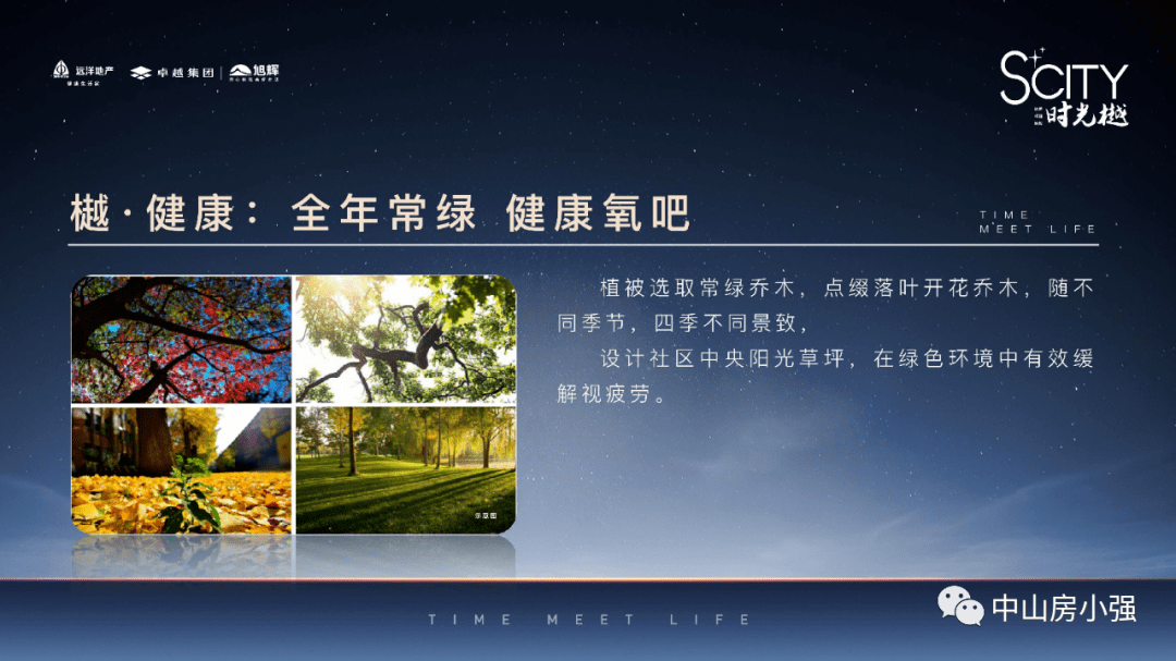 新澳门一码一肖一特一中2024|精选解释解析落实,新澳门一码一肖一特一中与未来预测，精选解释解析及落实策略