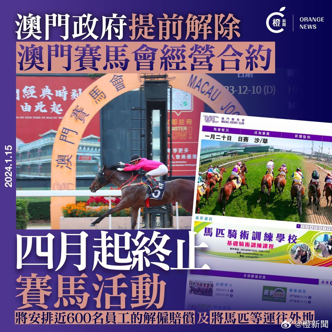 2024今晚新澳门马出什么|精选解释解析落实,新澳门2024今晚赛马结果预测及解析