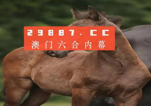 白小姐正版四不像最新版本|精选解释解析落实,白小姐正版四不像最新版本，深度解析与精选落实策略