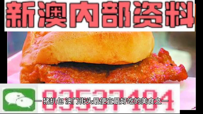2024新澳门精准正版免费资料510期|精选解释解析落实,新澳门精准正版资料解析与落实策略，迈向成功的指引（第510期）