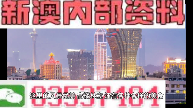 新澳精准资料大全|精选解释解析落实,新澳精准资料大全，精选解释解析与落实策略