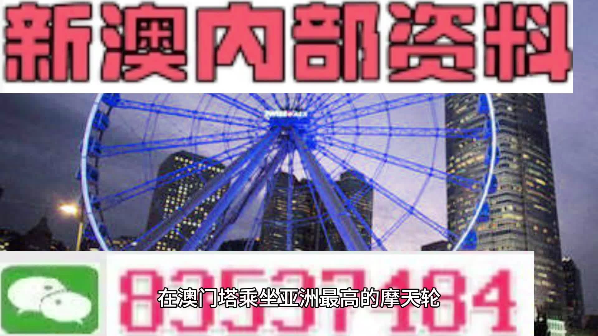 新奥门资料免费资料|精选解释解析落实,新澳门资料免费资料，精选解释解析与落实策略