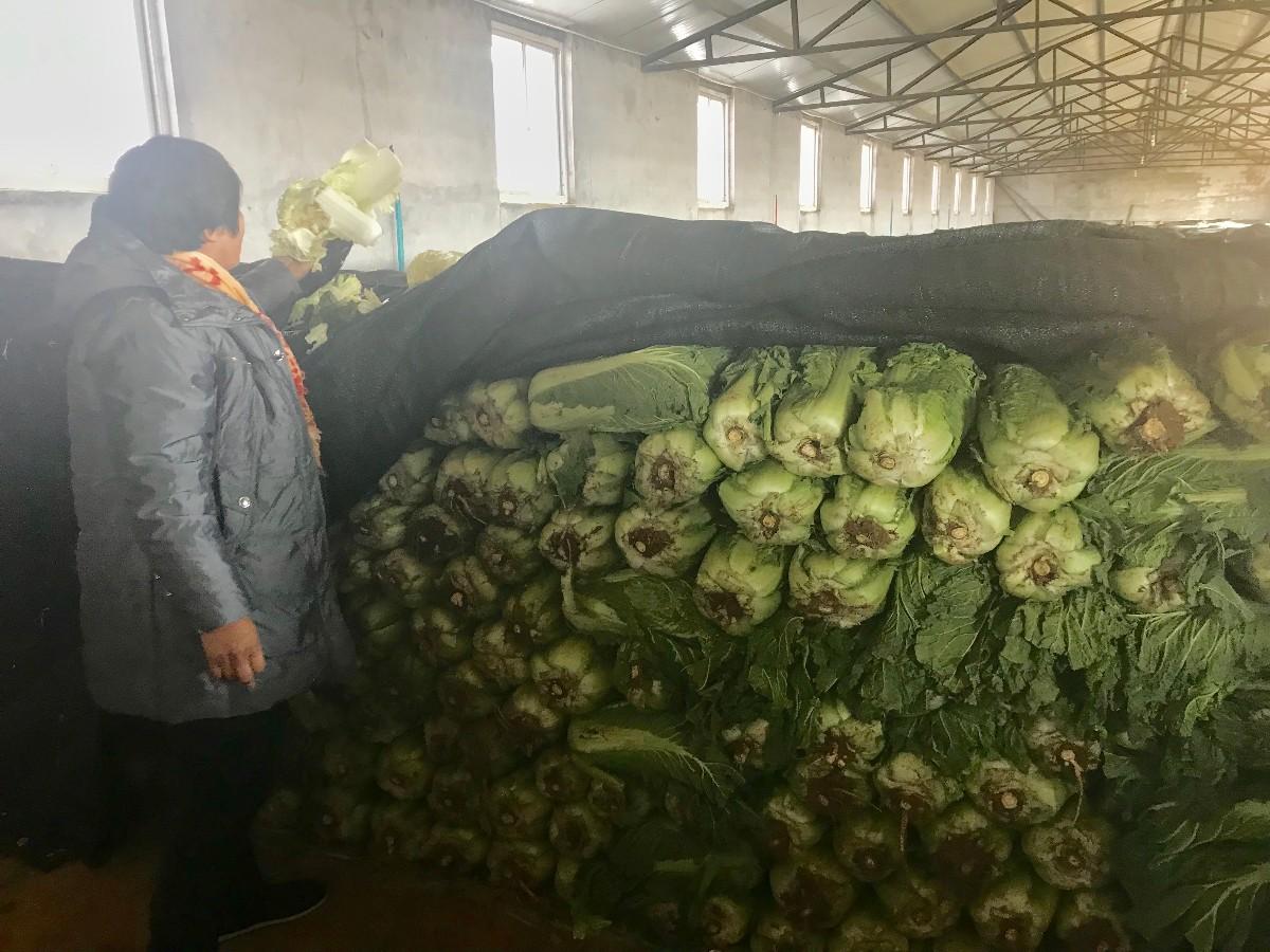 最新消息鸡旦走势,最新消息下的鸡蛋走势分析