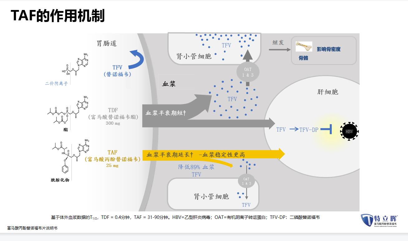 国产替诺福韦最新进展,国产替诺福韦最新进展，创新突破与未来展望