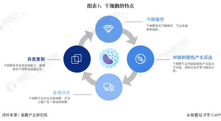 安沂华干细胞最新进展,安沂华干细胞最新进展，突破与创新的前沿探索