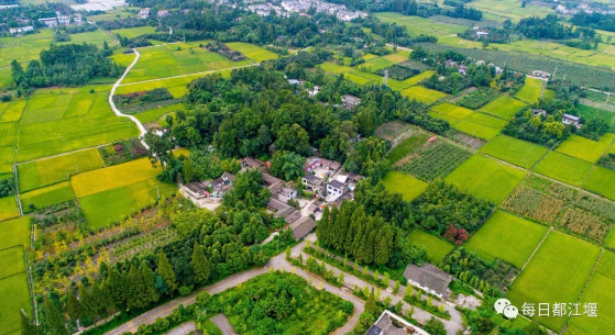 成都三圣乡最新项目,成都三圣乡最新项目，重塑乡村魅力，引领城市新发展