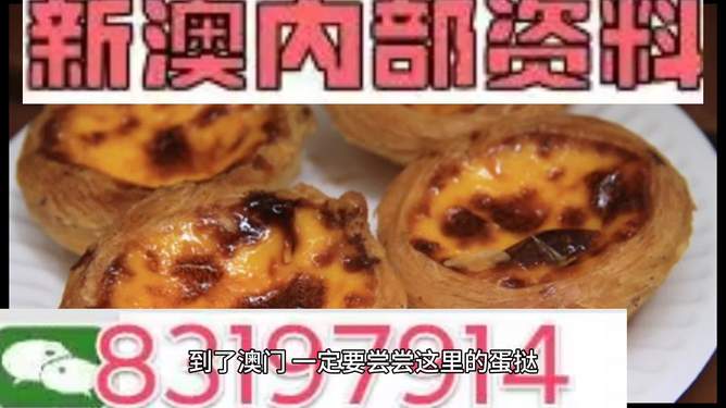 2024新澳门精准资料免费|精选资料解析大全,新澳门精准资料免费解析大全（精选资料解析，助力您的成功之路）