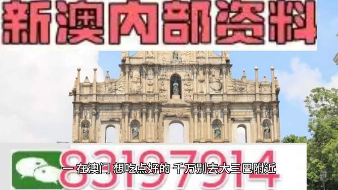 2024澳门正版精准资料大全|精选资料解析大全,澳门正版精准资料解析大全——精选资料解析与前瞻性展望（2024版）