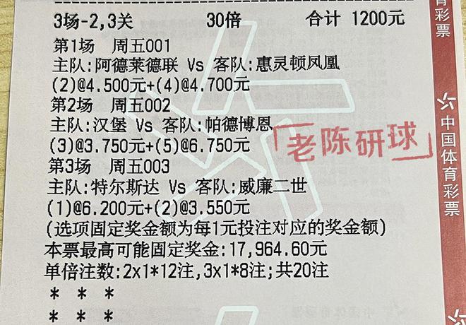 2024澳门特马今晚开奖097期|精选资料解析大全,澳门特马今晚开奖097期精选资料解析大全