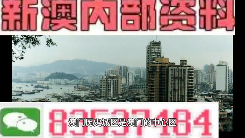 2024澳门精准四不像正版|精选资料解析大全,澳门精准四不像正版解析与精选资料大全（XXXX年解析版）