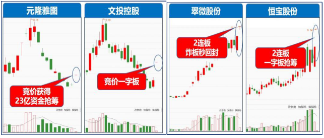 2024新奥精准资料免费|精选资料解析大全,2024新奥精准资料免费精选资料解析大全全面解析与应用展望