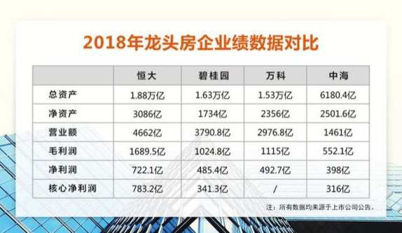 2024新奥正版全年免费资料|精选资料解析大全,揭秘2024新奥正版全年免费资料，精选资料解析大全