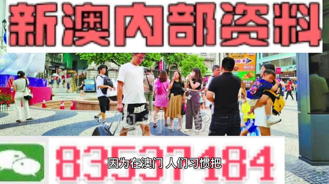 2024年新澳门今晚免费资料|精选资料解析大全,2024年新澳门今晚免费资料精选解析大全