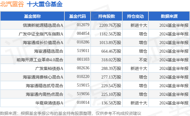 2024新澳今晚资料年051期|精选资料解析大全,精选解析，新澳今晚资料年（2024）第051期资料解析大全