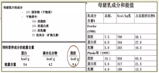 推荐 第25页