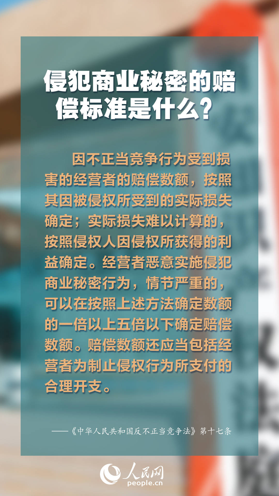 新澳门全年免费料|精选资料解析大全,新澳门全年免费料精选资料解析大全